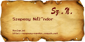 Szepesy Nándor névjegykártya